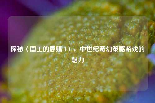 探秘〈国王的恩赐 1〉,中世纪奇幻策略游戏的魅力
