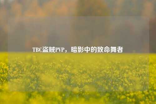 TBC盗贼PVP,暗影中的致命舞者