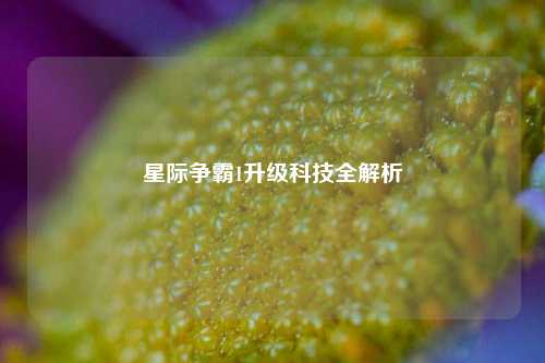 星际争霸1升级科技全解析