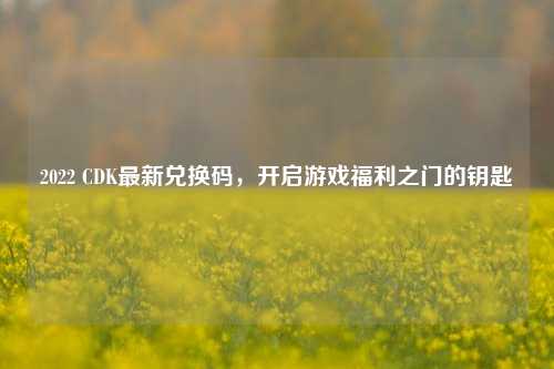 2022 CDK最新兑换码,开启游戏福利之门的钥匙