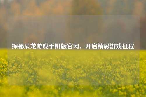 探秘辰龙游戏手机版官网,开启精彩游戏征程