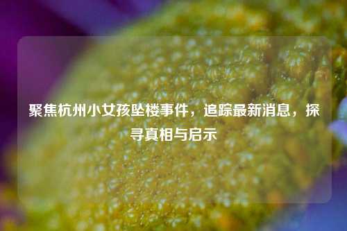 聚焦杭州小女孩坠楼事件,追踪最新消息,探寻真相与启示