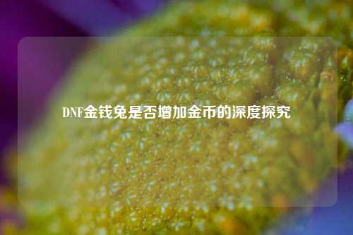 DNF金钱兔是否增加金币的深度探究