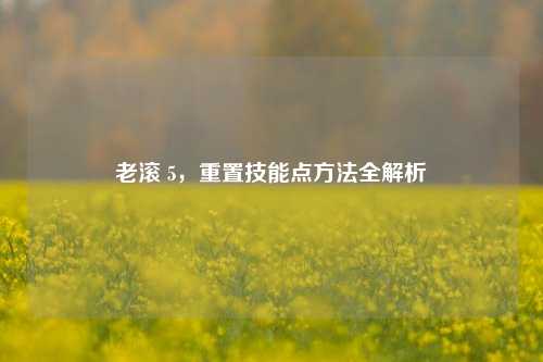 老滚 5,重置技能点方法全解析