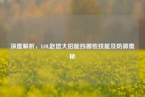 深度解析,LOL赵信大招能挡哪些技能及防御奥秘