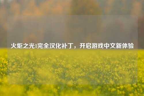 火炬之光1完全汉化补丁,开启游戏中文新体验