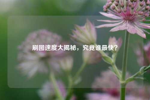 刷图速度大揭秘,究竟谁最快?