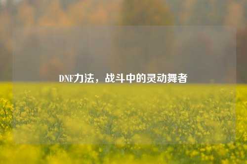 DNF力法,战斗中的灵动舞者
