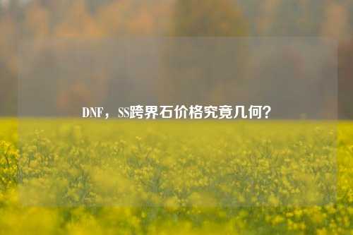DNF,SS跨界石价格究竟几何?