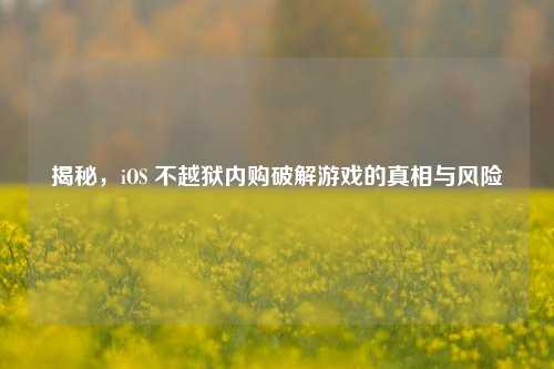 揭秘,iOS 不越狱内购破解游戏的真相与风险