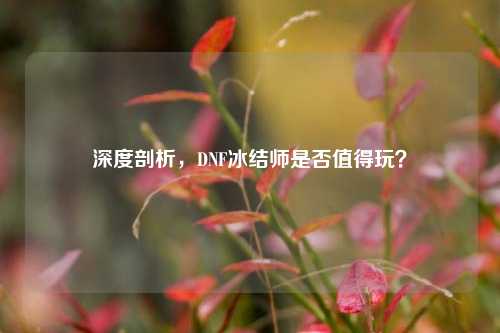 深度剖析,DNF冰结师是否值得玩?