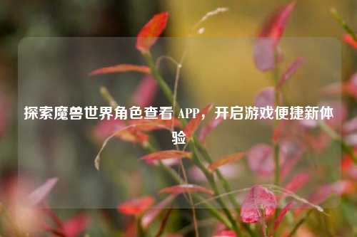探索魔兽世界角色查看 APP,开启游戏便捷新体验