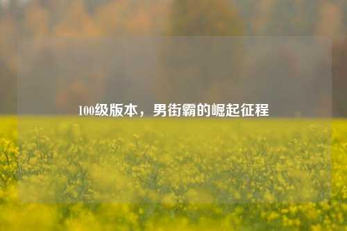 100级版本,男街霸的崛起征程