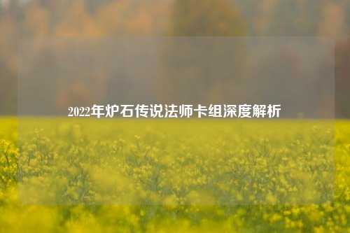 2022年炉石传说法师卡组深度解析