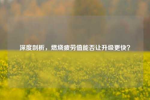 深度剖析,燃烧疲劳值能否让升级更快?