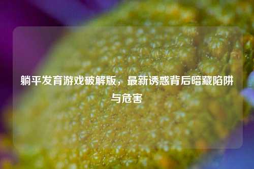 躺平发育游戏破解版,最新诱惑背后暗藏陷阱与危害