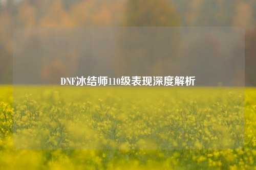 DNF冰结师110级表现深度解析
