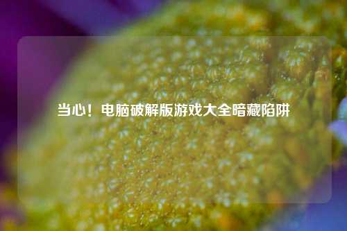 当心!电脑破解版游戏大全暗藏陷阱