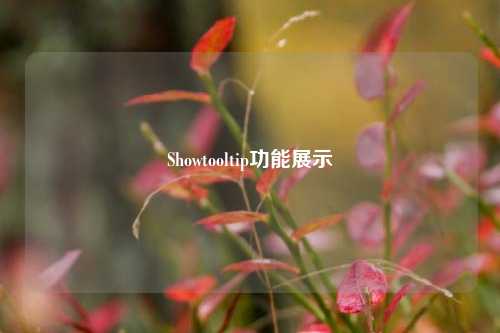 Showtooltip功能展示