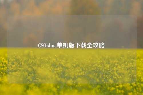 CSOnline单机版下载全攻略