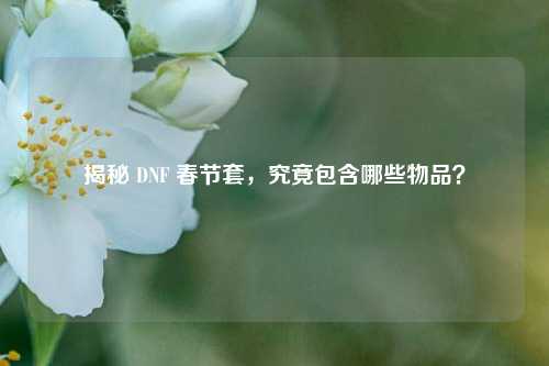 揭秘 DNF 春节套，究竟包含哪些物品？