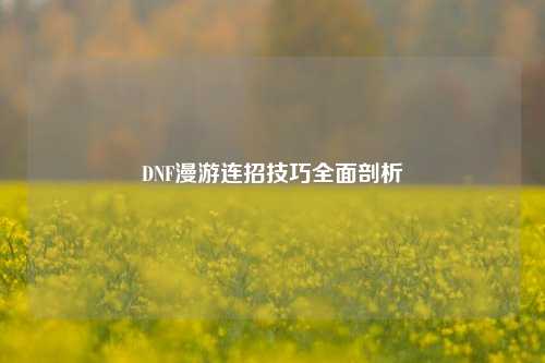 DNF漫游连招技巧全面剖析