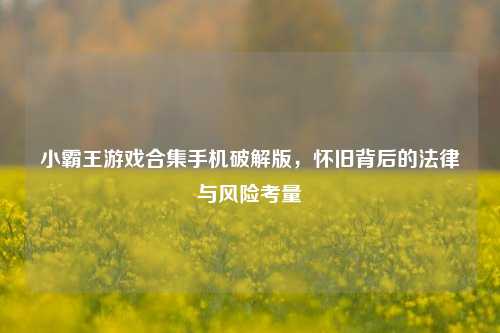 小霸王游戏合集手机破解版，怀旧背后的法律与风险考量