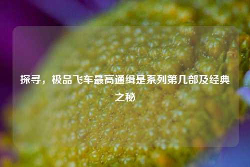 探寻，极品飞车最高通缉是系列第几部及经典之秘