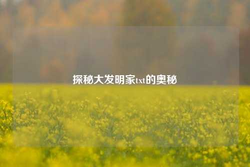 探秘大发明家txt的奥秘