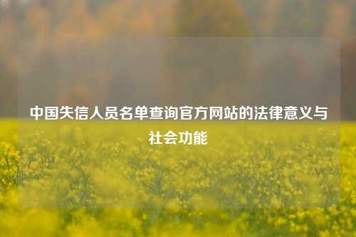 中国失信人员名单查询官方网站的法律意义与社会功能