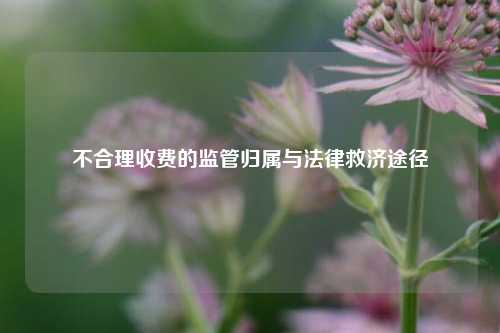 不合理收费的监管归属与法律救济途径