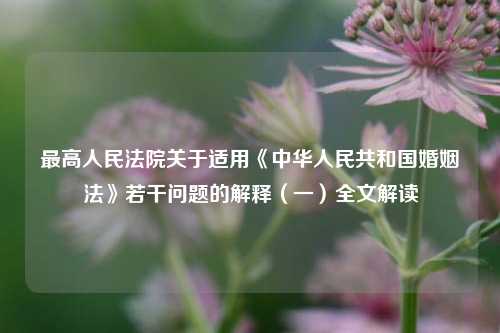 最高人民法院关于适用《中华人民共和国婚姻法》若干问题的解释(一)全文解读