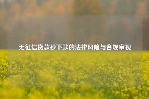 无征信贷款秒下款的法律风险与合规审视