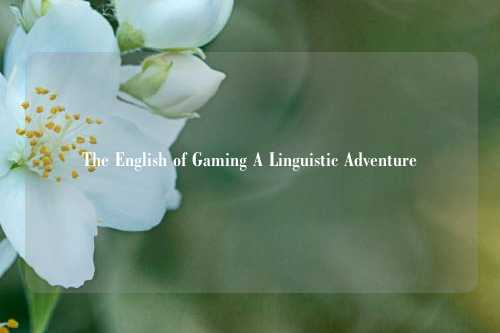 The English of Gaming A Linguistic Adventure