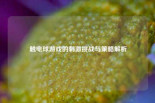  触电球游戏的刺激挑战与策略解析
