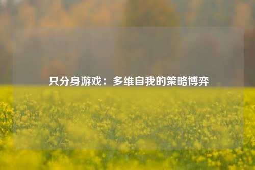  只分身游戏：多维自我的策略博弈