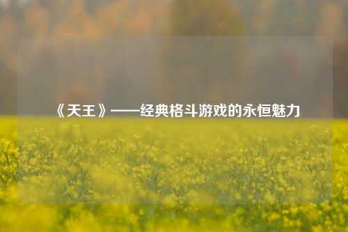  《天王》——经典格斗游戏的永恒魅力