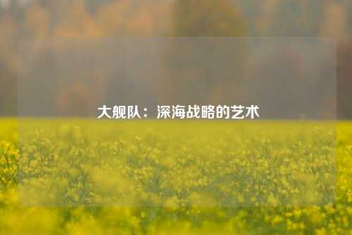 大舰队：深海战略的艺术