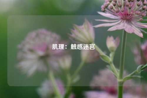 肌理：触感迷宫
