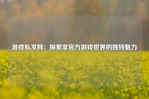 游戏私发网：探索非官方游戏世界的独特魅力