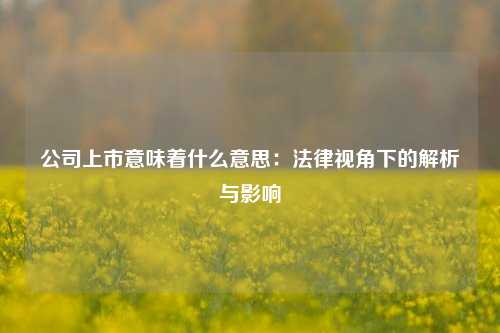 公司上市意味着什么意思：法律视角下的解析与影响