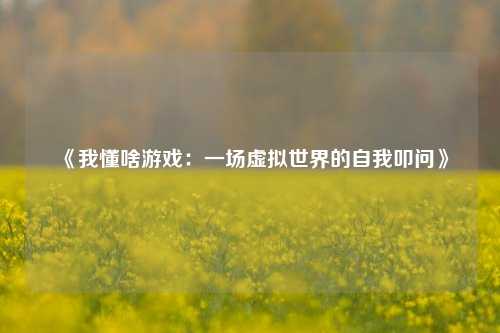 《我懂啥游戏：一场虚拟世界的自我叩问》