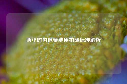 两小时内退票费用扣除标准解析