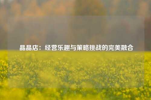  晶晶店：经营乐趣与策略挑战的完美融合