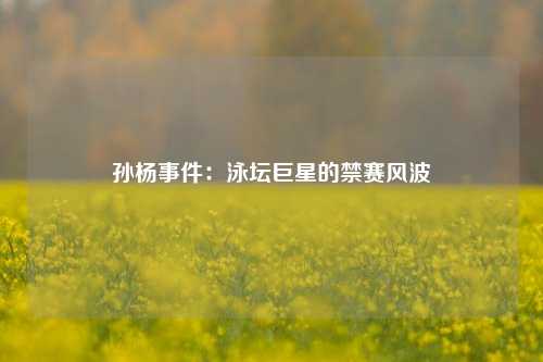 孙杨事件:泳坛巨星的禁赛风波