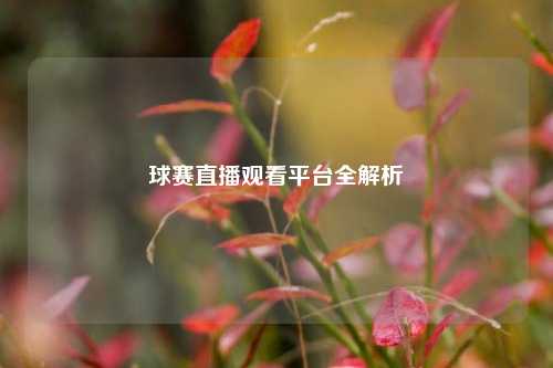 球赛直播观看平台全解析