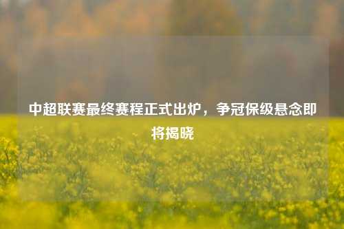 中超联赛最终赛程正式出炉，争冠保级悬念即将揭晓
