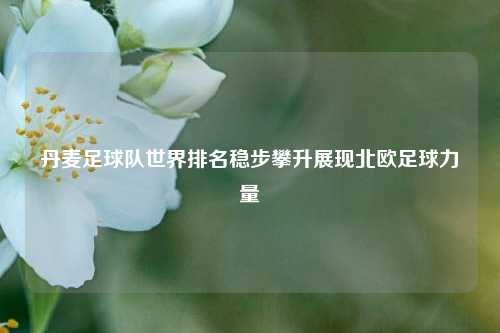 丹麦足球队世界排名稳步攀升展现北欧足球力量