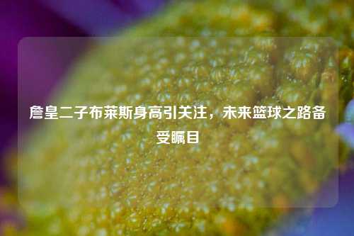 詹皇二子布莱斯身高引关注，未来篮球之路备受瞩目