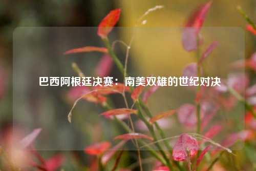  巴西阿根廷决赛：南美双雄的世纪对决